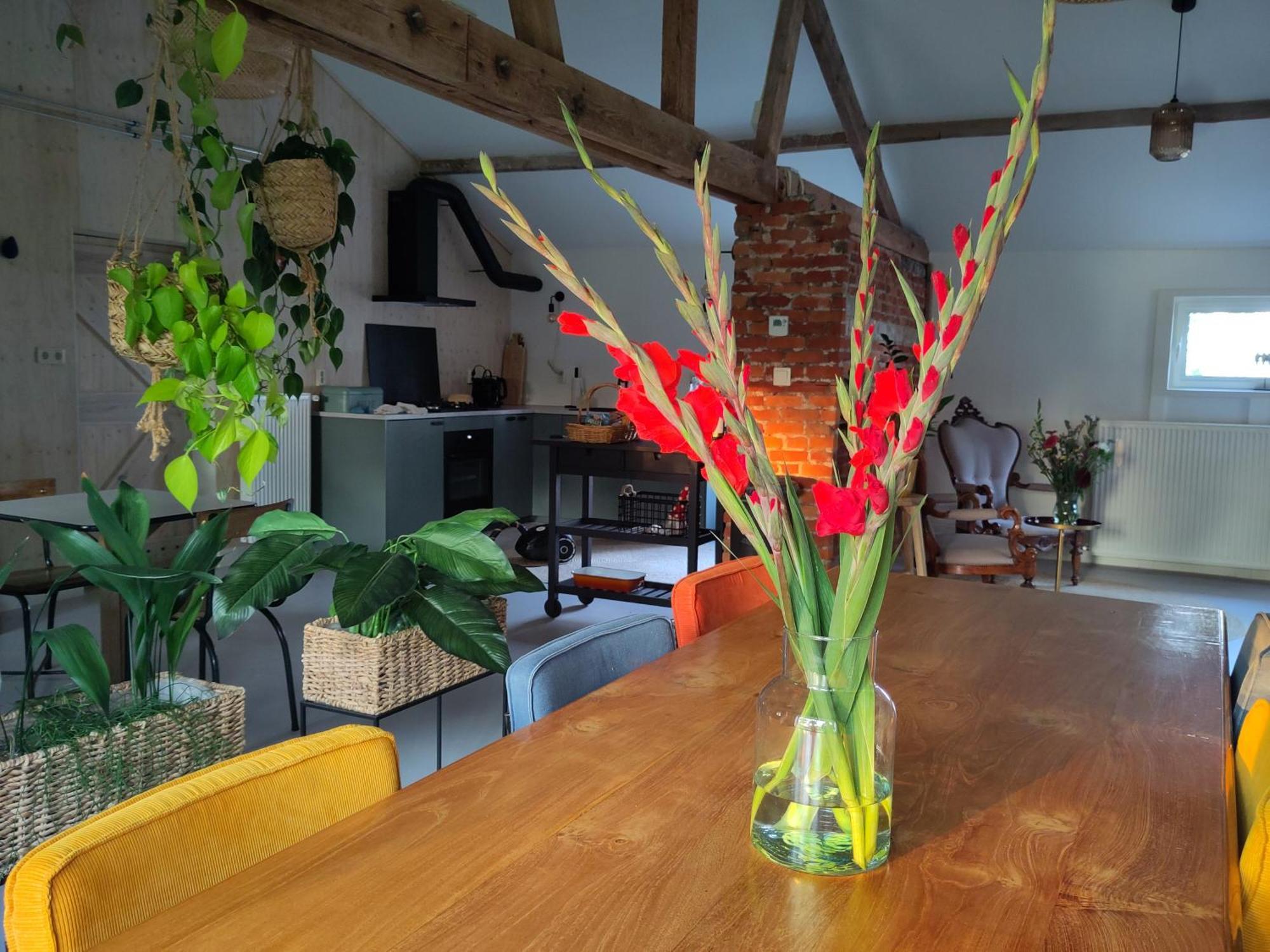 Zundert'T Voske住宿加早餐旅馆 外观 照片