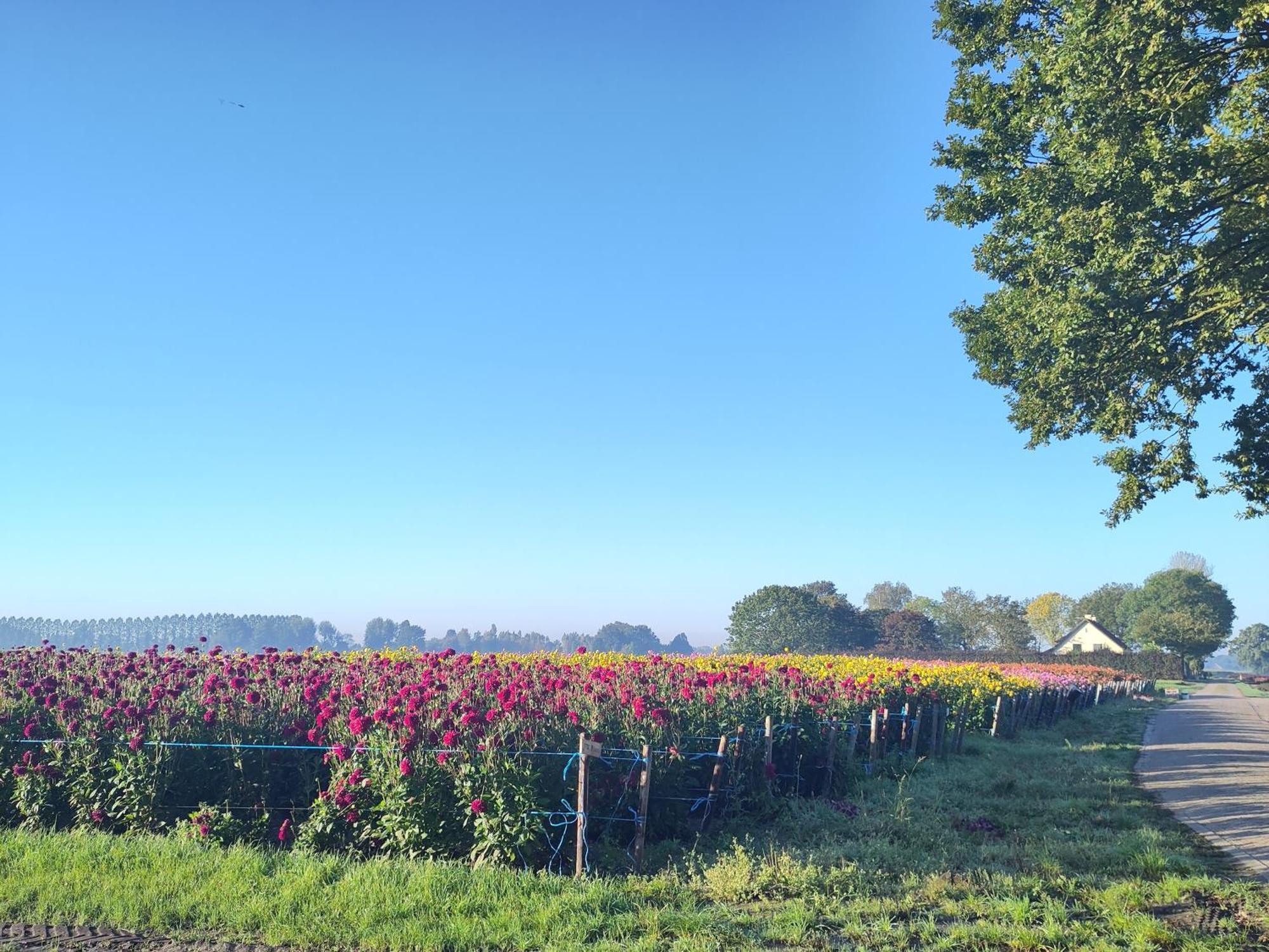 Zundert'T Voske住宿加早餐旅馆 外观 照片