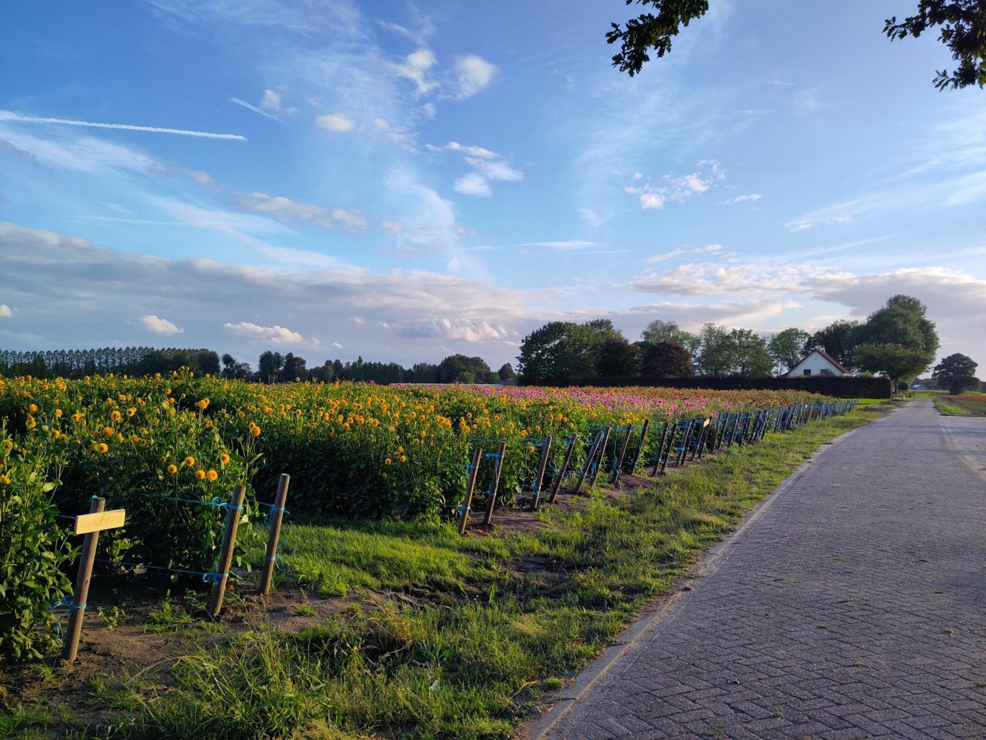Zundert'T Voske住宿加早餐旅馆 外观 照片